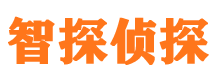 麻江外遇调查取证